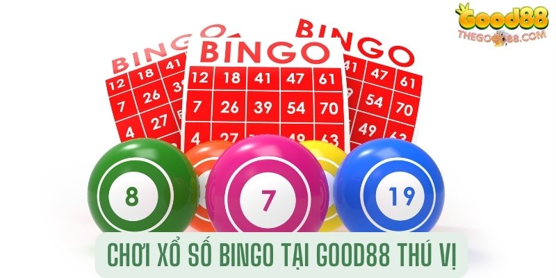 Chơi Bingo thú vị