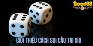 Giới thiệu cách soi cầu tài xỉu